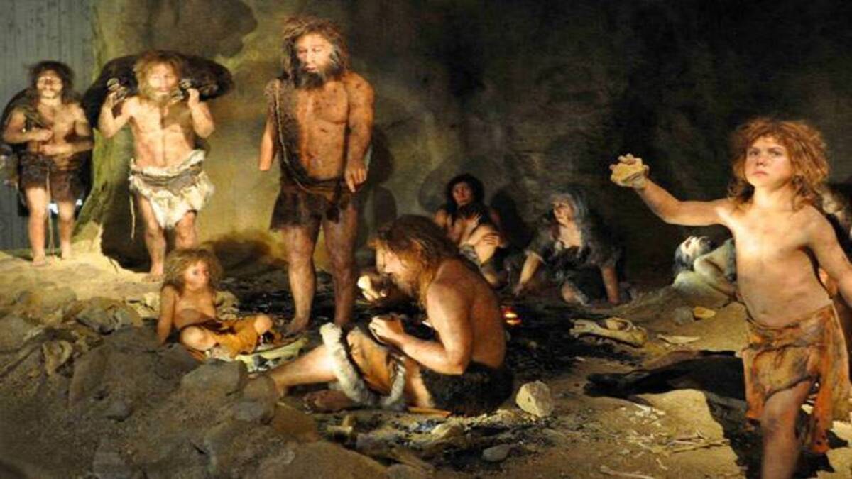 Prove di cannibalismo tra Neanderthal scoperte in una grotta spagnola