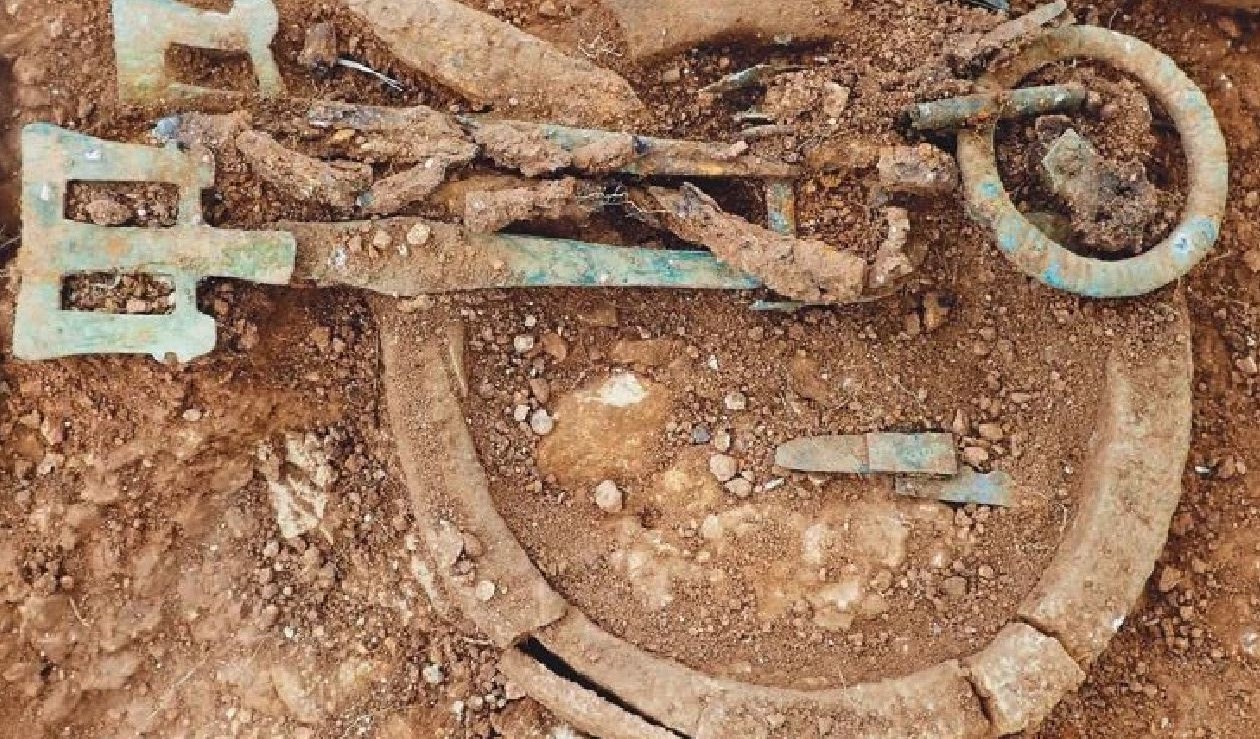 Scoperta l’origine dei misteriosi anelli d’avorio trovati nelle sepolture: “Hanno percorso 6.400 km”