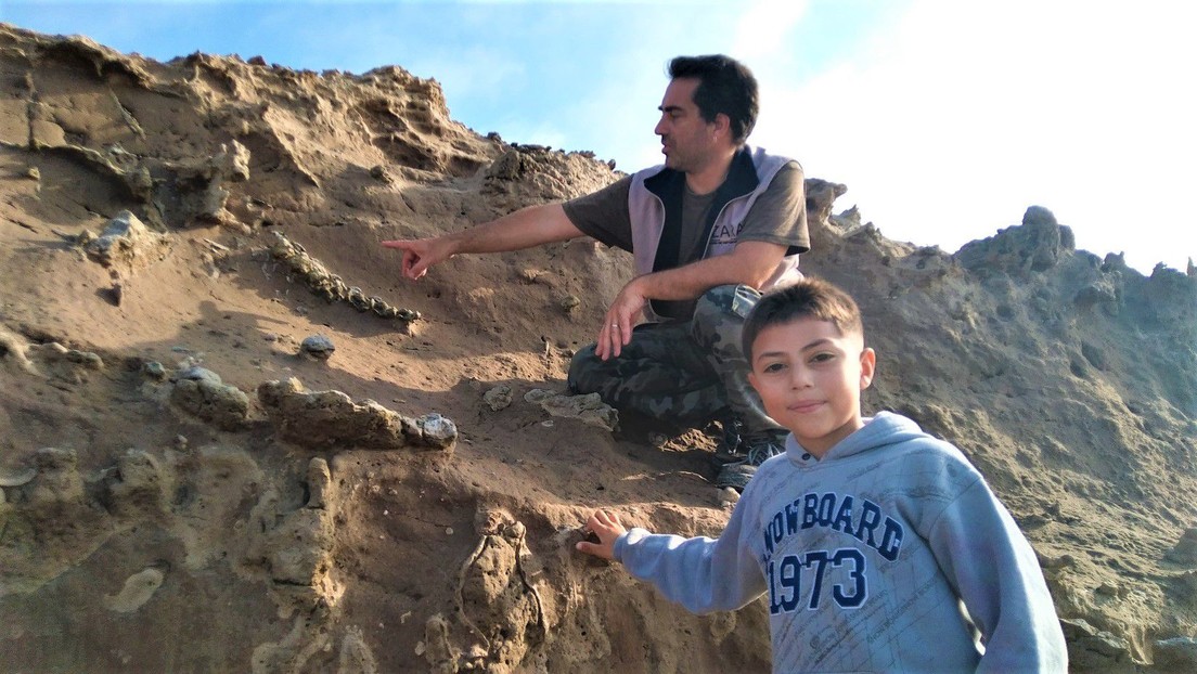 Argentina: un bambino di otto anni scopre resti fossili risalenti a 100.000 anni fa