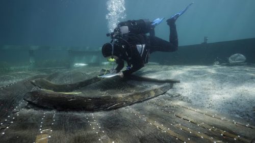 Una barca ‘cucita a mano’ 3.000 anni fa sarà recuperata nell’Adriatico