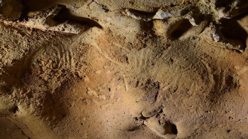 Scoperte in Francia le incisioni di Neanderthal più antiche al mondo