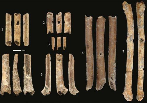 Scoperti i più antichi “flauti” preistorici, risalenti a 12.000 anni fa