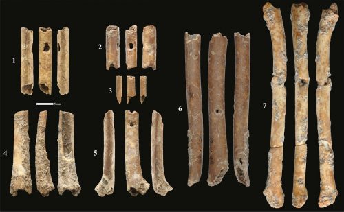 Israele: scoperti flauti ossei di 12.000 anni fa, tra i più antichi strumenti trovati in Medio Oriente