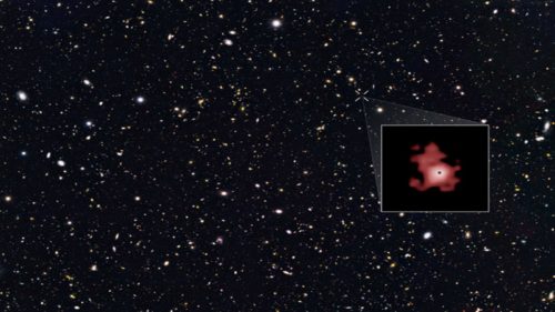 Webb rileva un piccolo buco nero nell’Universo primordiale