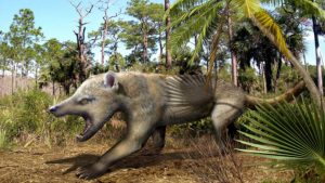 Trovati resti di un bizzarro mammifero dell’Oligocene