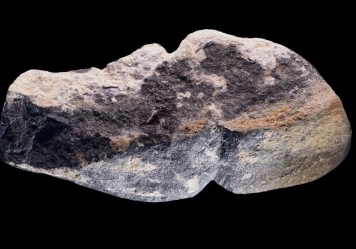 Scoperto un ciondolo di forma fallica risalente a 42.000 anni fa