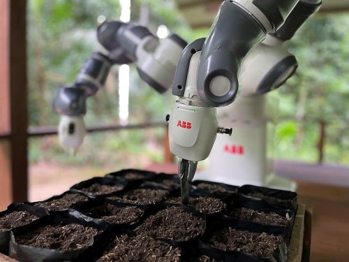 Amazzonia: arriva un robot collaborativo per rigenerare la foresta pluviale [VIDEO]