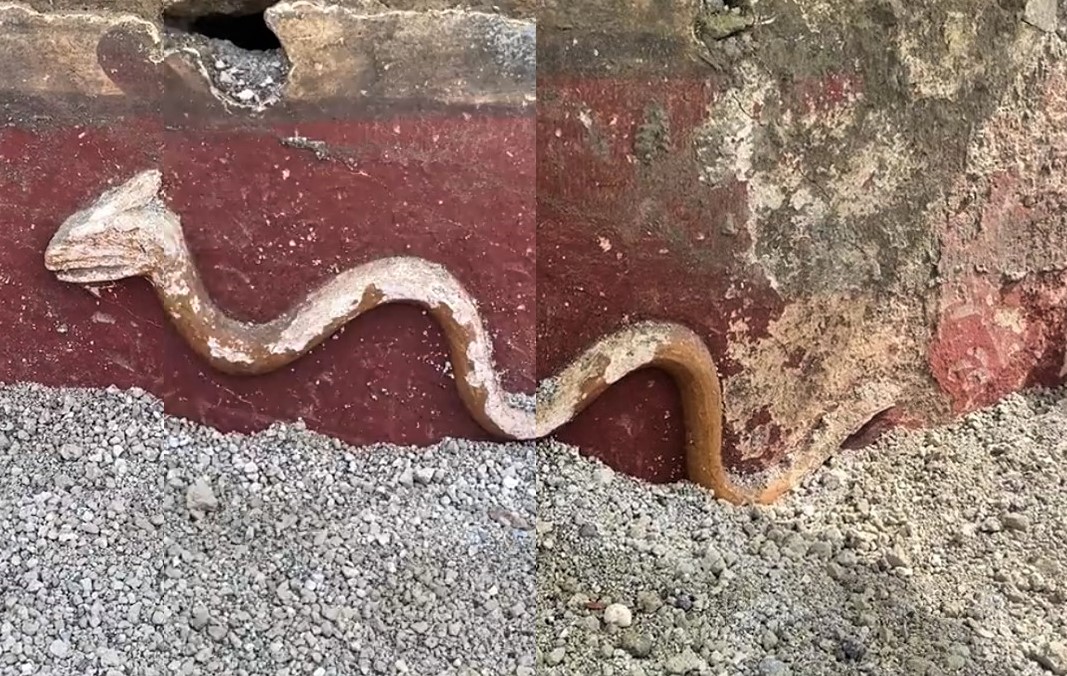 Scoperto a Pompei un altorilievo raffigurante un serpente