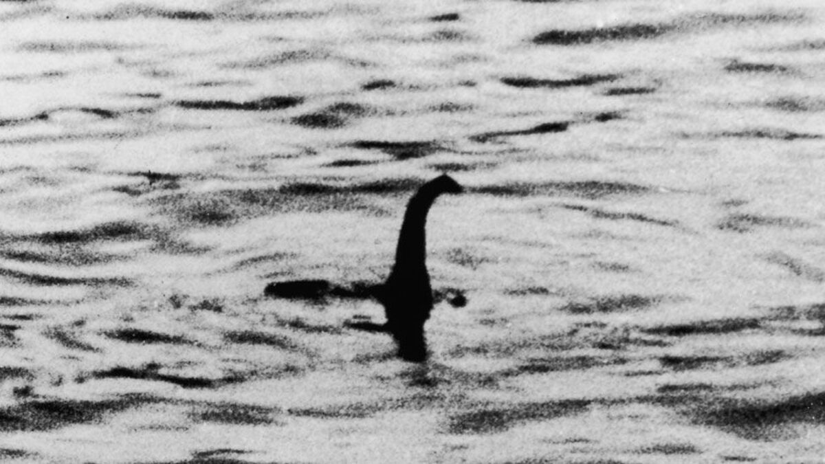 Mostro di Loch Ness? Ecco la verità secondo gli esperti