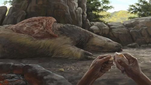Antichi ciondoli realizzati con ossa di bradipo gigante scoperti in Brasile