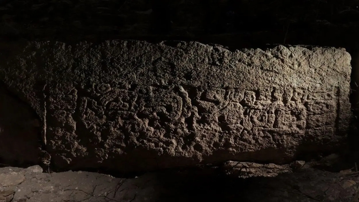 MAYA1-1-1.jpg