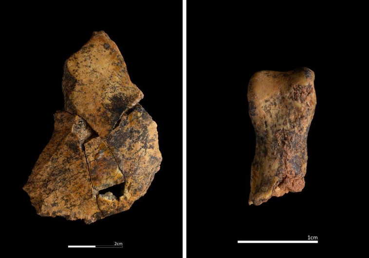 Scoperti resti di Homo antecessor, l’antenato cannibale