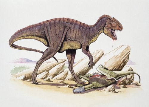 USA: fossili di dinosauro di 115 milioni di anni scoperti nel Maryland