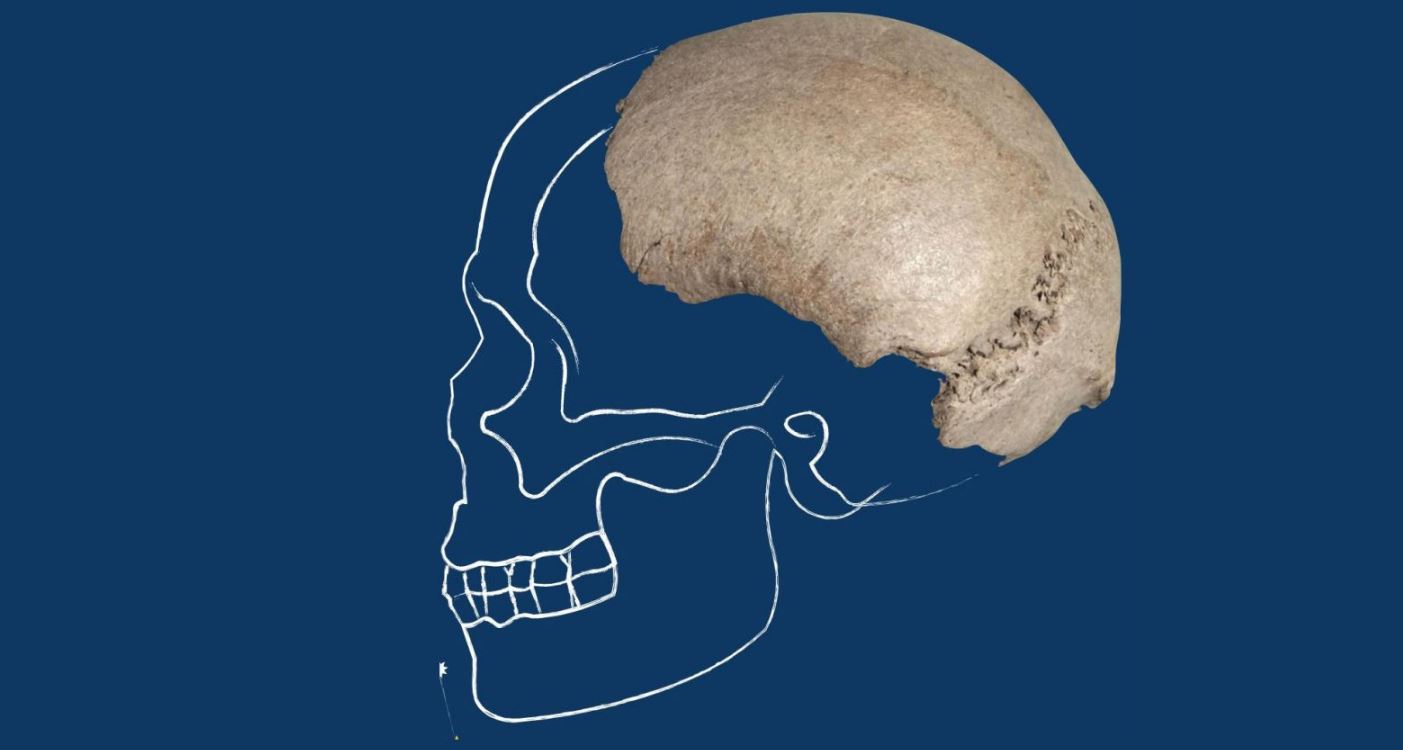 L’annuncio straordinario: scoperto un teschio di Homo Sapiens nel fiume Po