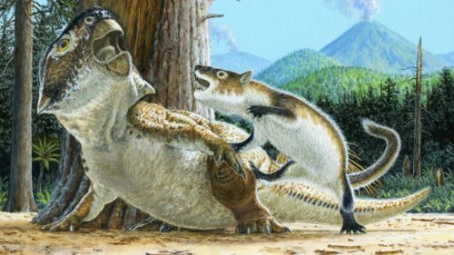Scoperta un’antica creatura che cacciava i dinosauri
