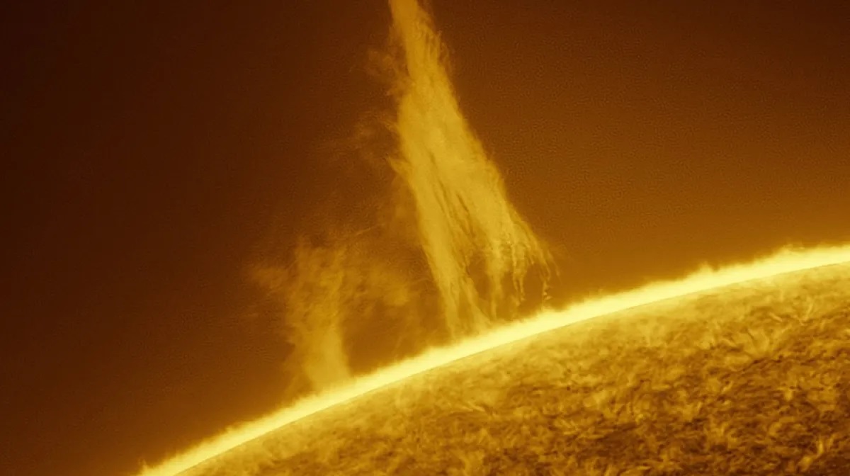 sole-1.jpg