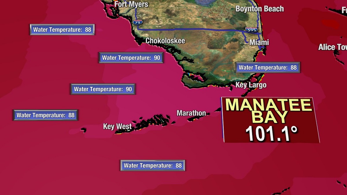Florida: l’acqua di mare raggiunge la più calda temperatura mai registrata