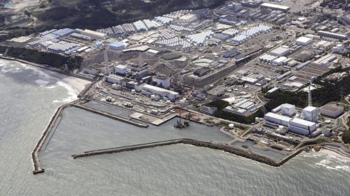 Fukushima: sversamento di acqua radioattiva potrebbe causare mutazioni negli animali