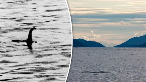Strani suoni catturati durante la caccia al mostro di Loch Ness. Di cosa si tratta?