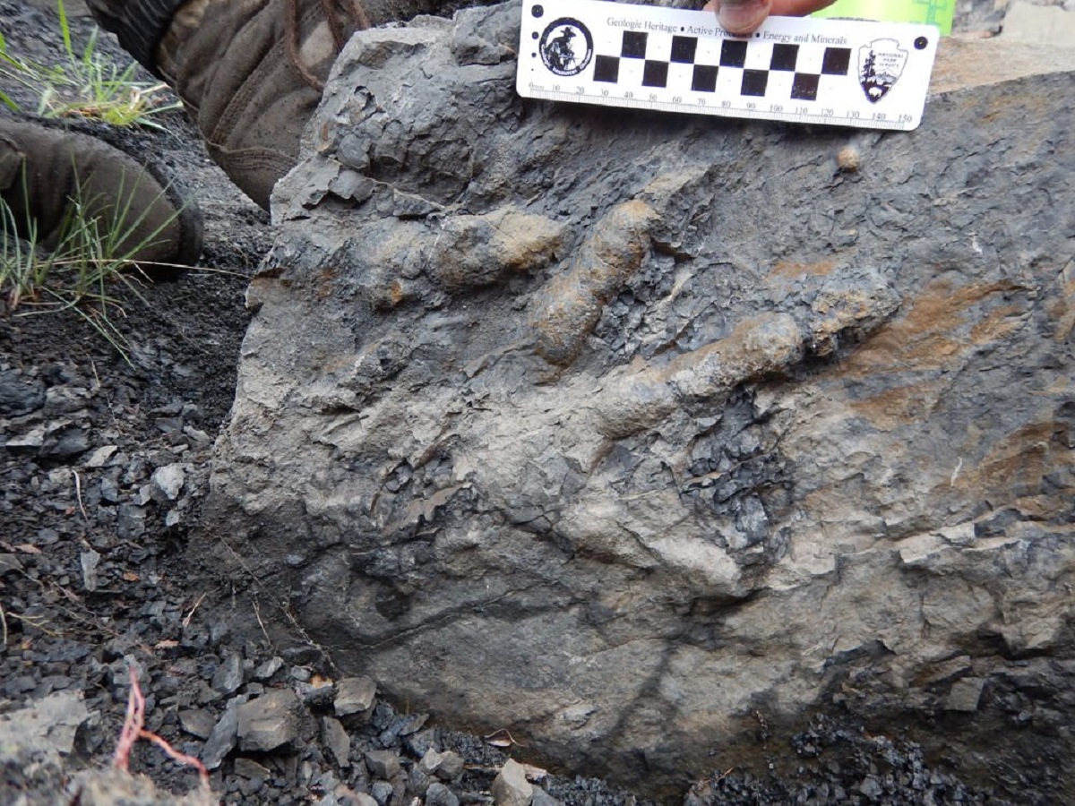 alaska dinosauri