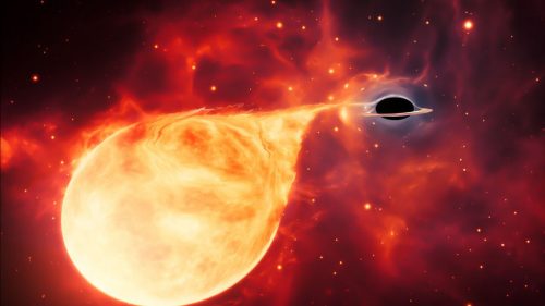 Un buco nero ha divorato una stella tre volte più grande del Sole