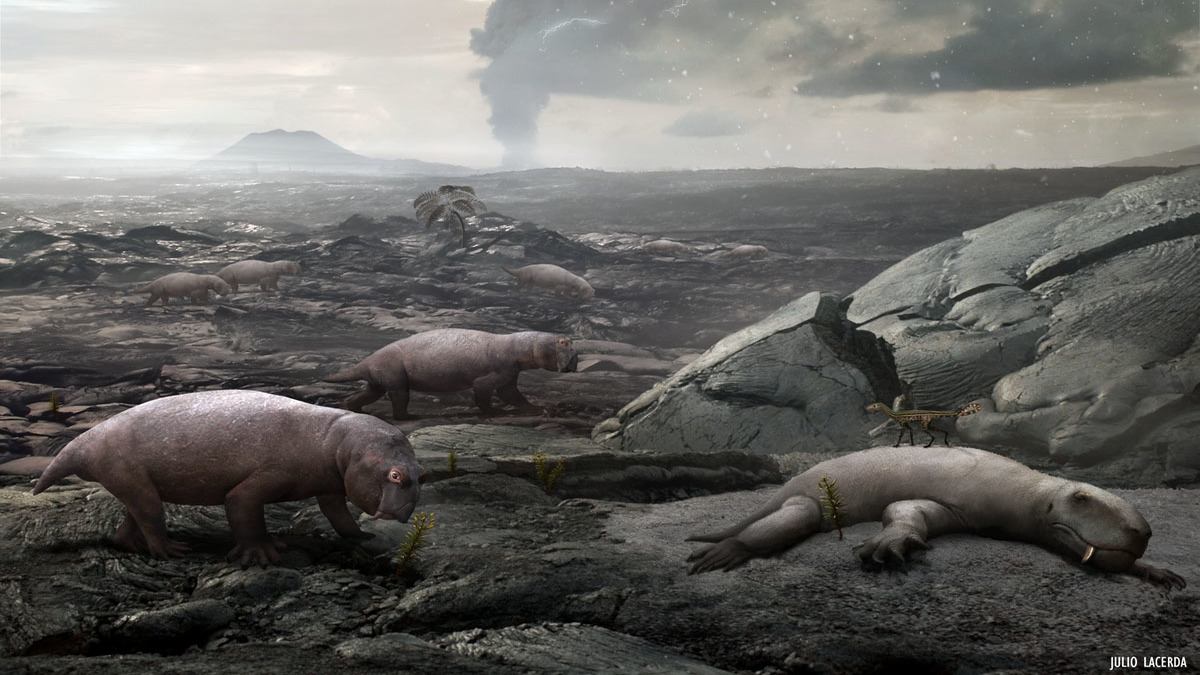 extinction2-1-1.jpg
