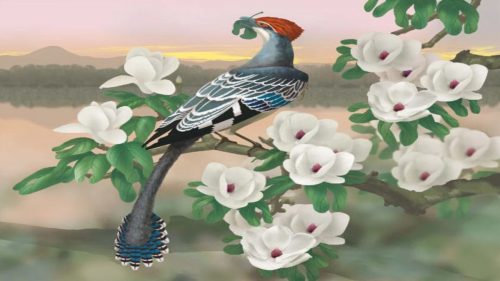 Gli uccelli del primo Cretaceo consumavano foglie di piante fiorite simili alla magnolia