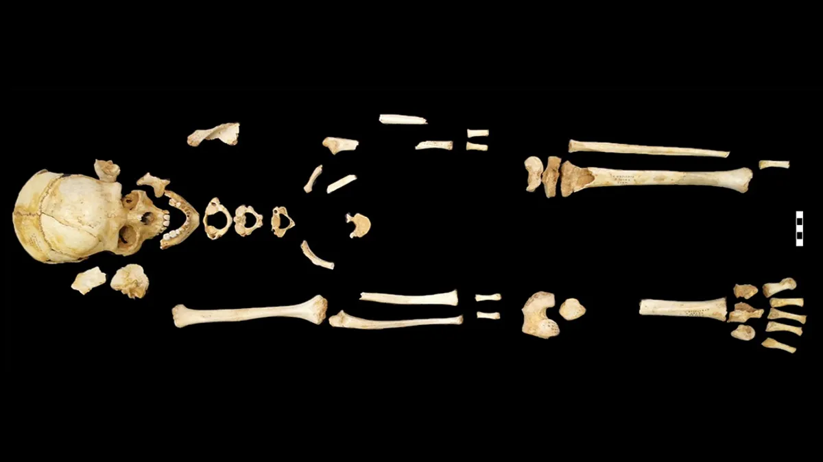 neolithic-girl-l-1.png