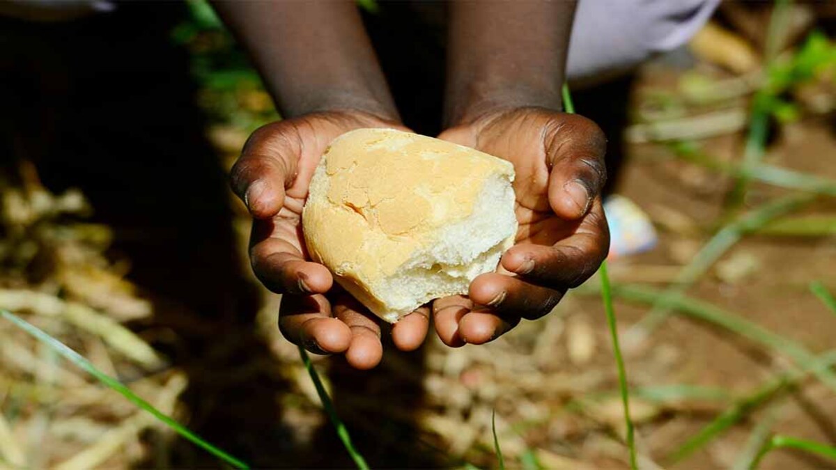 Gli aborigeni australiani cuociono il pane da oltre 34.000 anni