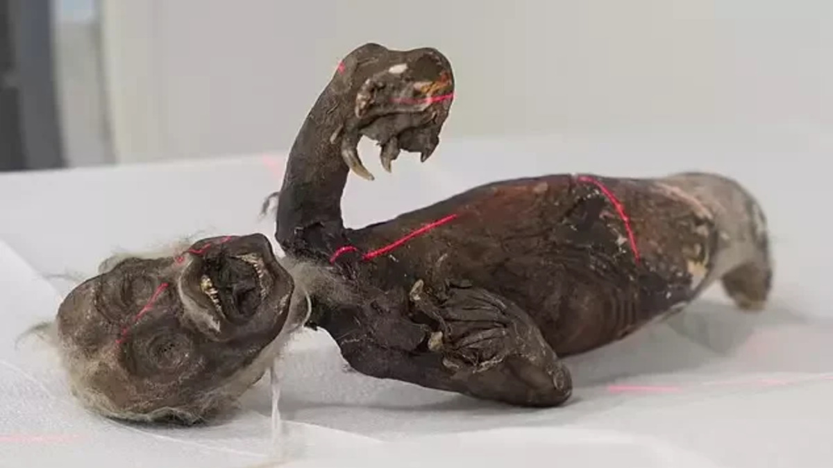 Fiji-mermaid-photo-e1698410195820-1-1-1.jpg