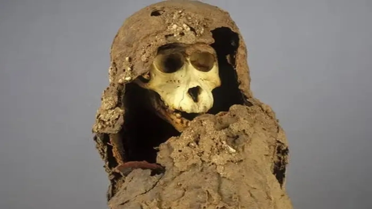 Il mistero delle strane mummie ritrovate in Egitto potrebbe essere risolto