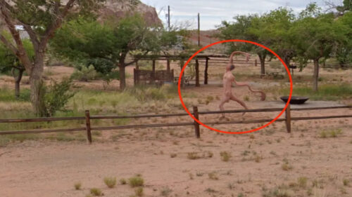 Strana “creatura” apparentemente nuda è stata avvistata su Google Street View