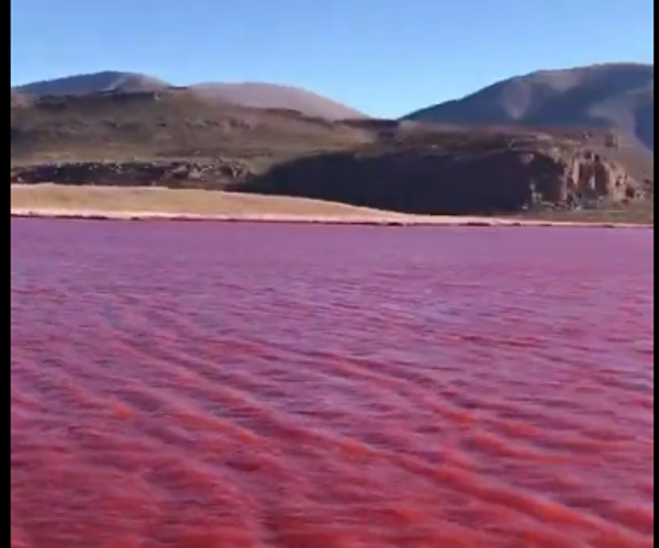 Il Nilo si tinge di rosso sangue: le immagini virali