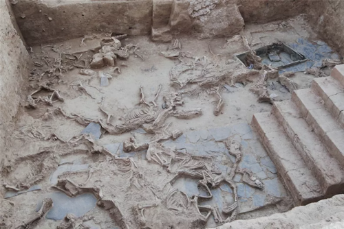 Scoperto sacrificio di animali di massa in un sito di 2.500 anni fa