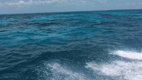 Scoperta una nuova massa d’acqua nell’Oceano Atlantico