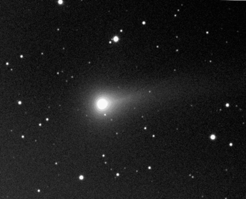 Una cometa sorprendente: la coda di un cane nel cielo