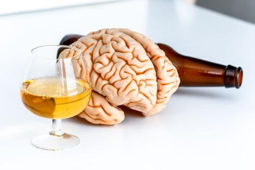 Il recupero della corteccia cerebrale durante l’astinenza dall’alcol