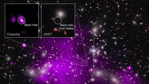 una sottile scatola delinea la galassia lontana, e due ingrandimenti sono inseriti nella parte superiore sinistra. Nell'ingrandimento che mostra i dati di Chandra, è mostrato un ovale viola nebuloso e neon con un nucleo rosa chiaro. Questo ovale viola rappresenta intensi raggi X provenienti da un buco nero supermassiccio in crescita stimato tra 10 e 100 milioni di volte la massa del Sole. L'ovale viola non è visibile nell'immagine composita a causa del modo in cui i dati di Chandra sono stati elaborati. La scatola si trova in un'immagine che mostra molte galassie da JWST circondate da un alone viola, la rilevazione di gas caldo nel cluster da parte di Chandra.