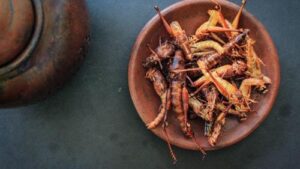 la cavalletta fritta o belalang goreng è un cibo tradizionale del sud-est asiatico, servito con sambal, cipolla, aglio, peperoncino su sfondo di legno