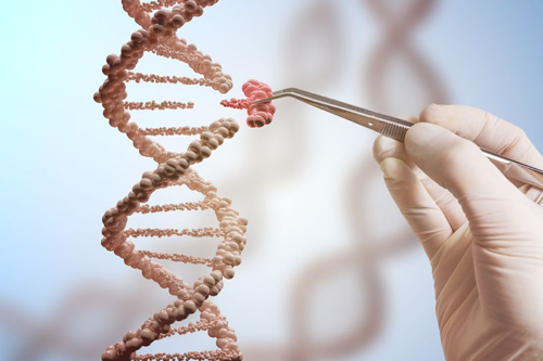 Il Regno Unito approva la prima terapia CRISPR per la malattia delle cellule falciformi e la beta-talassemia