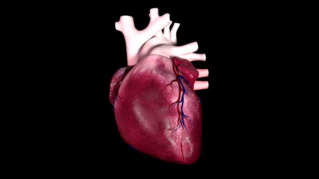 cuore-1.jpeg
