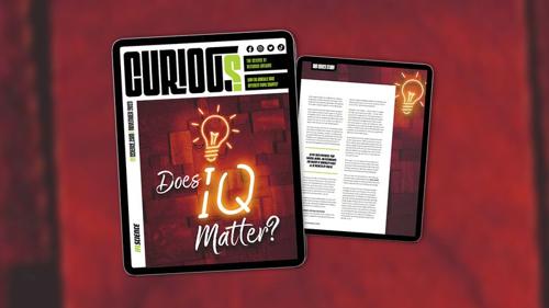 CURIOUS Numero 16