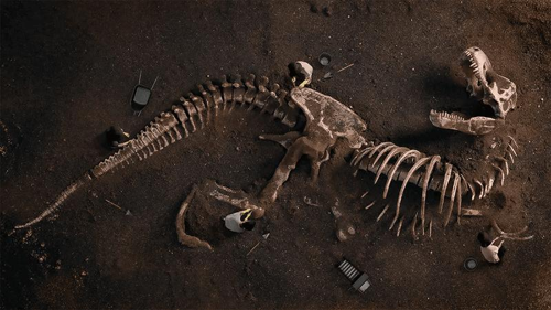 Una ricostruzione delle ossa di T-Rex.
