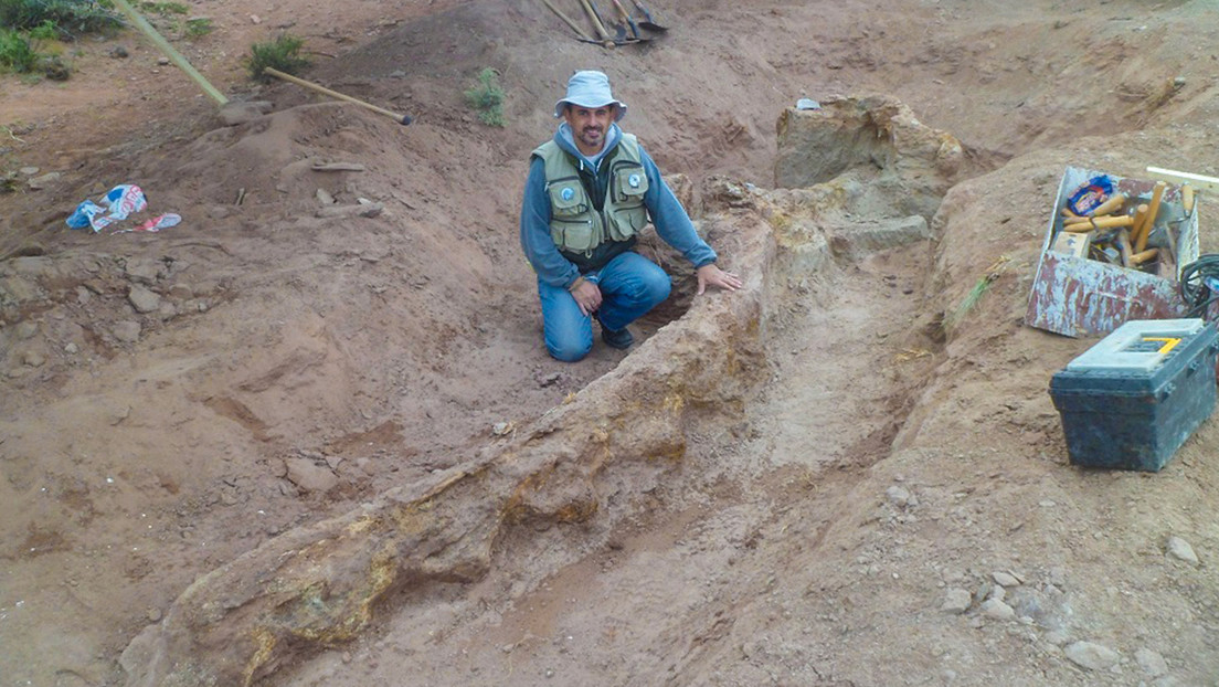 Un team di scienziati argentini ha scoperto una nuova specie di dinosauro in Patagonia