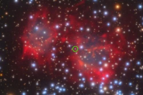 Giovane nana bianca rivela segreti sull’evoluzione stellare