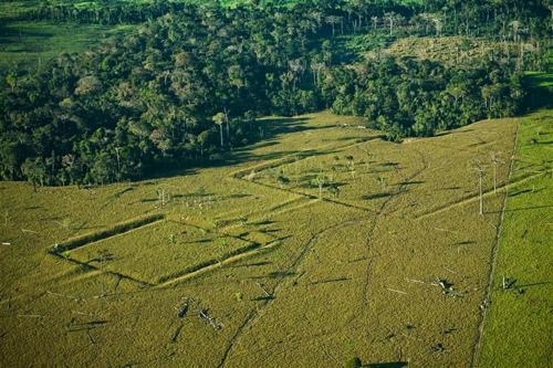 Scoperta di migliaia di siti archeologici nascosti nell’Amazzonia