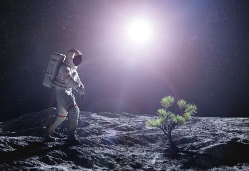 immagine concettuale di un astronauta sulla luna con un albero che cresce