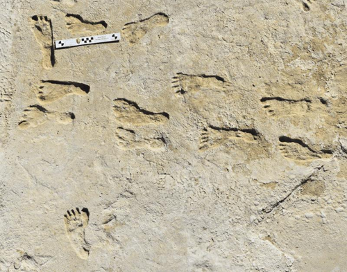 Impronte umane risalenti a 23.000-20.000 anni fa scoperte nel New Mexico