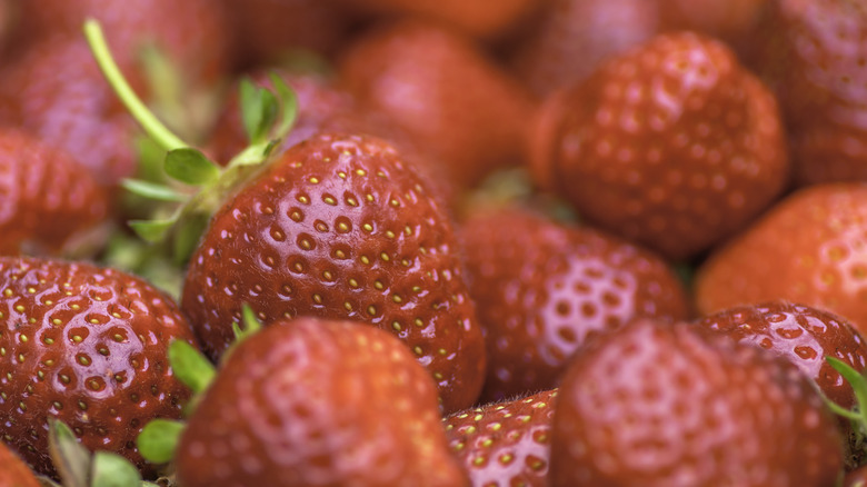 fragole-1.jpg