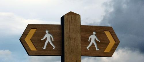 free-will-m-1.jpg